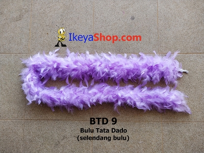 BTD 9  large2